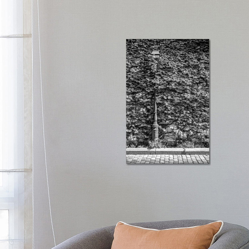 Montmartre Series - Hidden Between the Leaves 1 Piece Wrapped Canvas Wall Art, 66.04 cm H x 45.72 cm W x 1.91 cm D