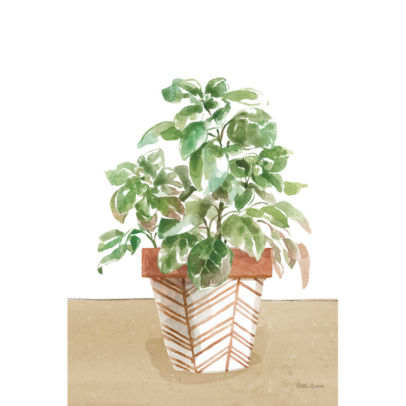 Herb Garden II White by Beth Grove - Painting, 30 cm H x 20 cm W, Wrapped Canvas