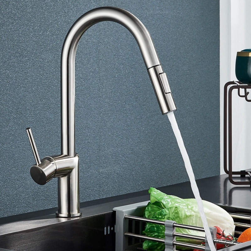Belfry Kitchen Moindou Pull Out Kitchen Faucet