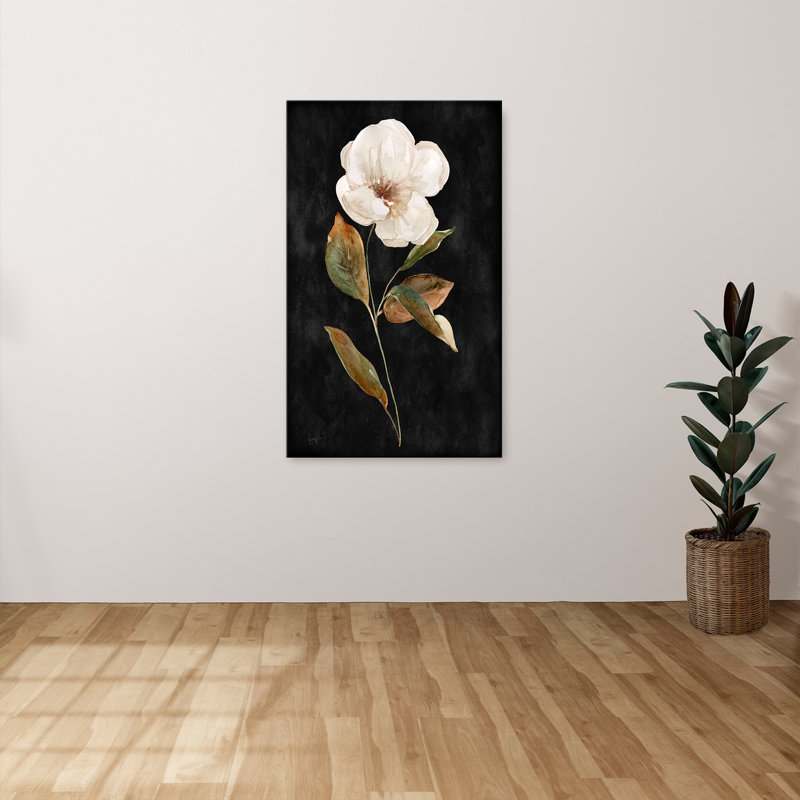 "Botanical on Black Wash I" par Livi Finn, reproduction sur toile, H 18 po x l 30 po x P 1 po