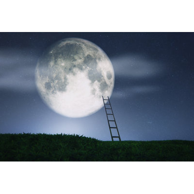Ladder To The Moon by Gremlin - Wrapped Canvas Print