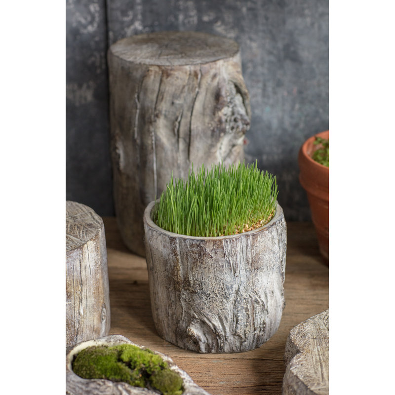Pot à fleurs en ciment Caines, l 6 po x l 6,75 po x p 6,75 po