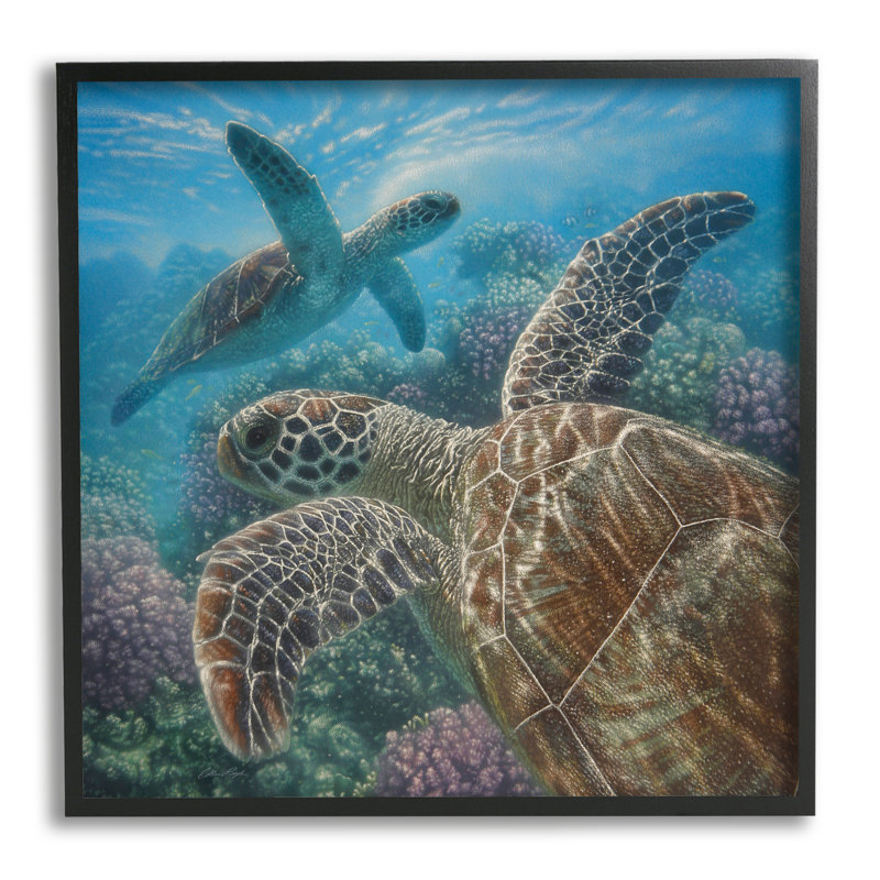27, paire de tortues de mer, récif de corail, art de la vie sur toile tendue par Collin Bogle, H 12 po x l 12 po x P 1,5 po