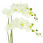 Arrangement d'orchidées en pot Polysilk