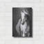«White Horse» par White Ladder-235240122
