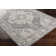 DeSoto Oriental Ivory/Light Gray Area Rug