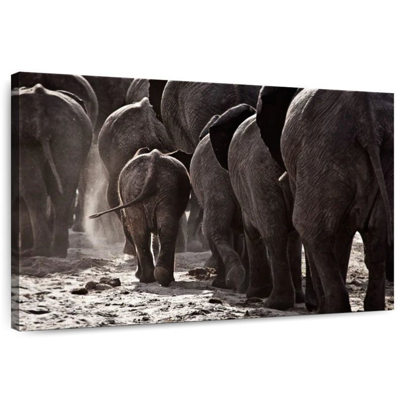Crowle Vintage Elephants, H 8 po x l 12 po