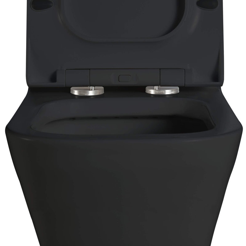 Dual-Flush One-Piece Toilet (Seat Included), Black Matte