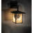 Rustic Lodge Solid Brass Armed Sconce