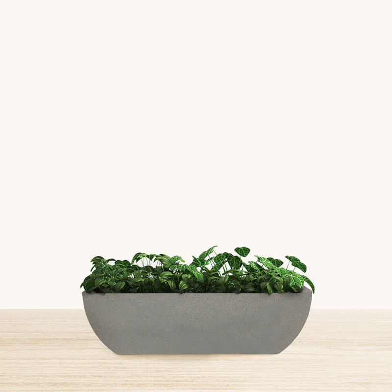 Wibrand ECOBO Eco-Friendly Rectangular Planter Box Capri Indoor/Outdoor Planter for Flowers All-Weather, 1, Gray