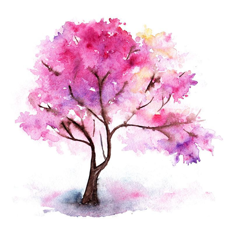 Cliffdell Cherry Blossom by Silmairel - Wrapped Canvas Painting, 30cm H x 30cm W x 3.8cm D