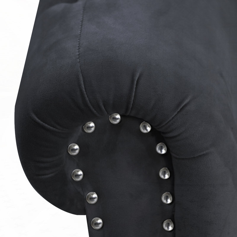Chaise longue rembourrée pour l'intérieur, Noir, Brun