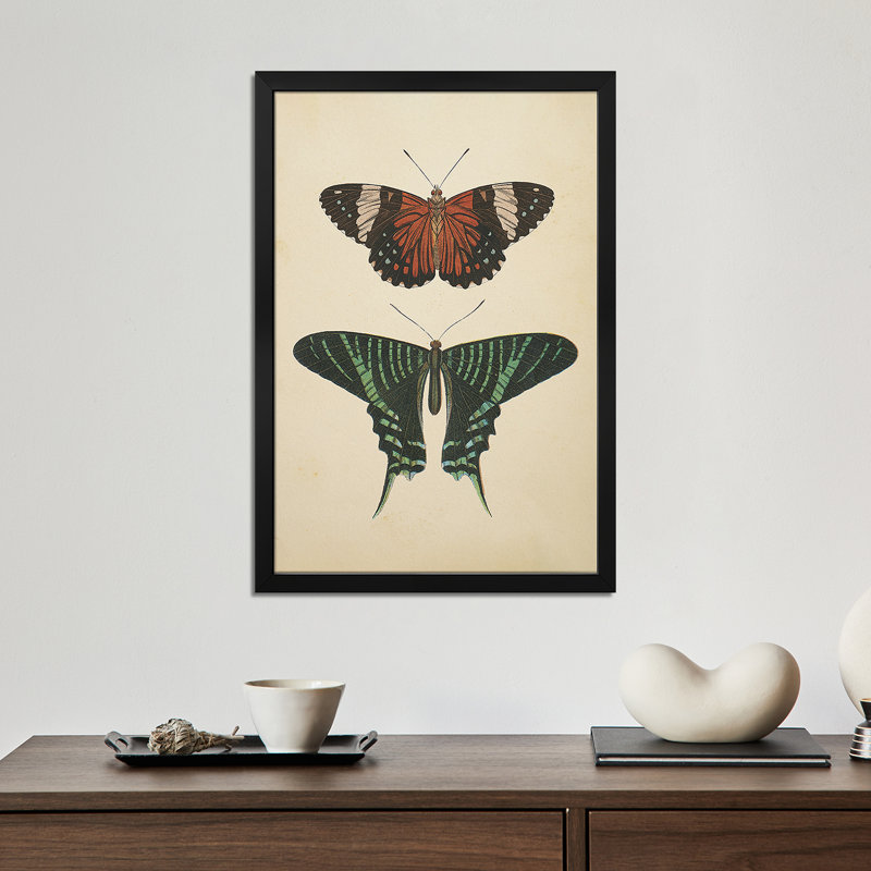 Papillons I - reproduction d'art murale - affiche de galerie, H 24 po x l 16 po