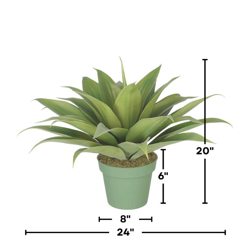 Plante grasse artificielle en pot, H 20 po x l 24 po x P 24 po