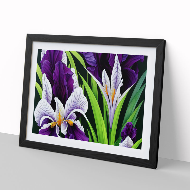 XH1022-6107X Modern Iris Flowers Vol.1 - Single Picture Frame Print, Black, 46cm H x 64cm W x 2cm D