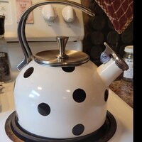 Kate Spade New York Deco Dot 2.5 qt. Stainless Steel Whistling Stovetop  Kettle & Reviews