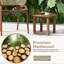 Allisia End Table