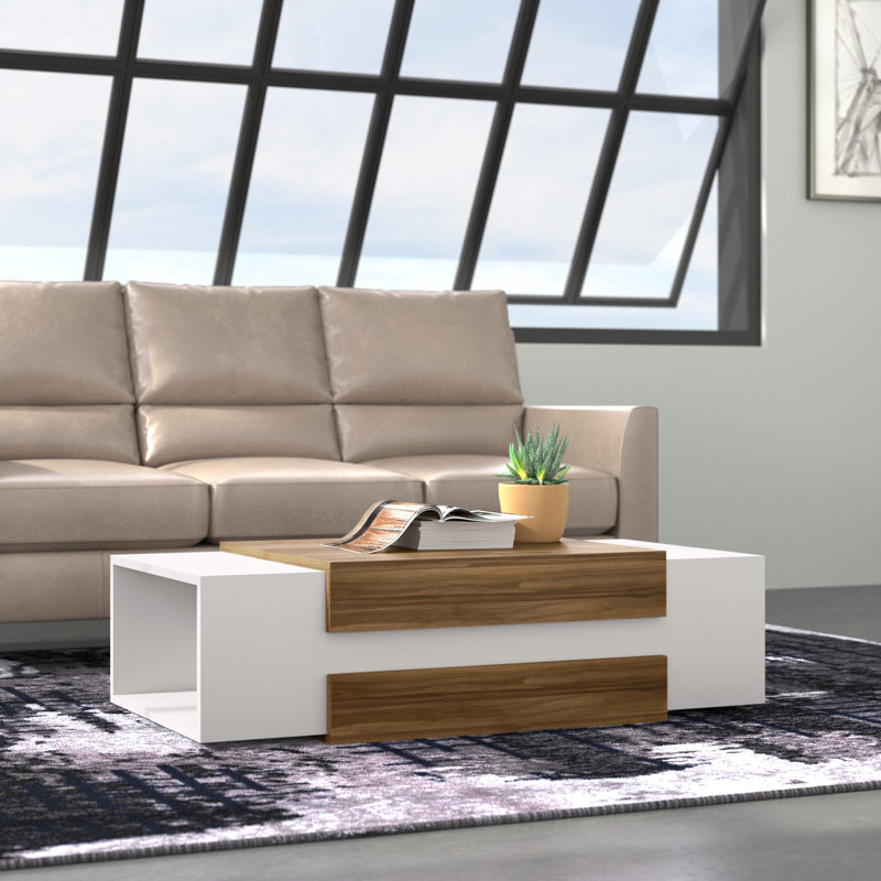 Table basse avec rangement Strausbaugh