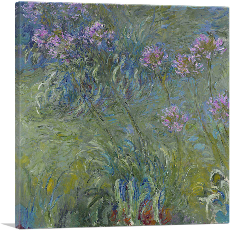 «Agapanthus Flowers» par Claude Monet, reproduction d'art sur toile tendue, H 12 po x l 12 po x P 1,5 po
