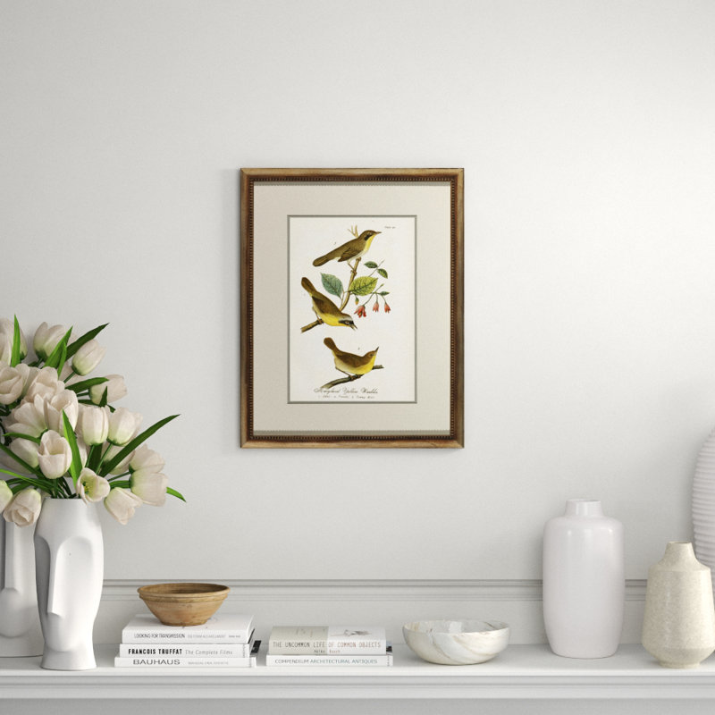 Maryland Yellow Warbler Print
