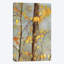 « golden branches ii », impression sur toile-31864889-73211555-73211560