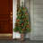 Crestwood Spruce Entrance Tree-107904414-40859030