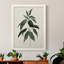 «Soft Greenery II», peinture sur toile encadrée-969736322-969736345