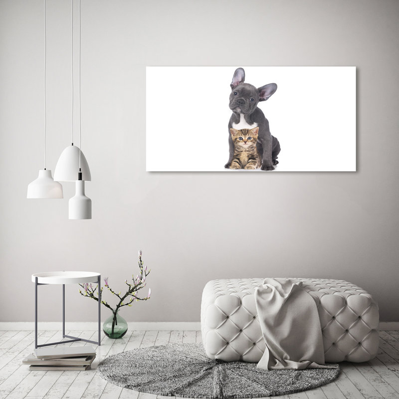 Dog And Cat - Wrapped Canvas Print