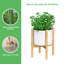 Support pour plante Demarkus-193538338