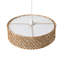 1 - Light Natural Cone Pendant