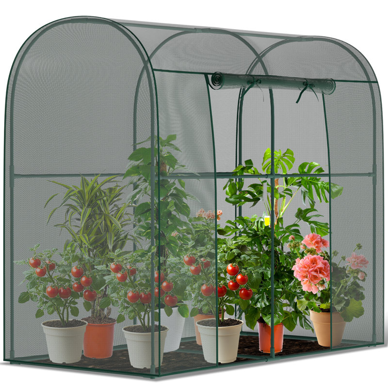 Crop Cages for Garden Plant, Plant Protection Netting Tent with Zippered, Wind-Resistant Plant Cages, Green
