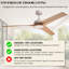 52'' Ceiling Fan
