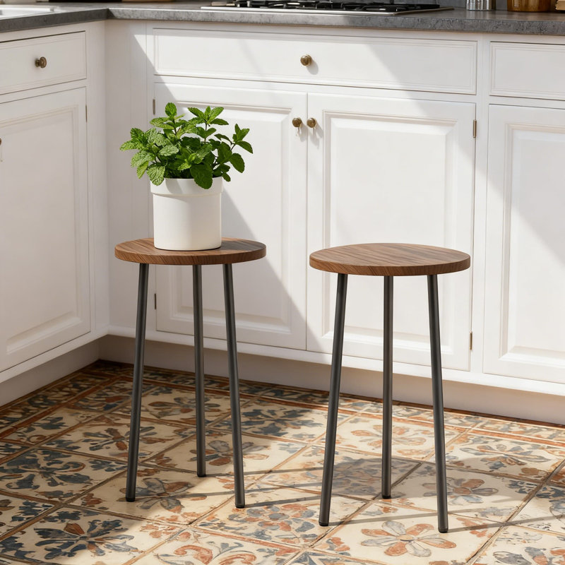 Ensemble de 2 plantes Mid-Century Modern