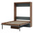 Murphy Bed With Foldable Desk-100598466