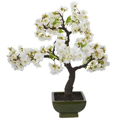 17'' Cherry Blossom Bonsai Tree in Decorative Vase