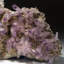 Amethyst From Piedra Parada, Las Vigas De Ramirez, Veracruz, Mexico