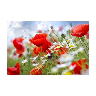 Floral Medallion Print Non-Woven Thin Rug in Bold Red and Neutral Tones Versatile for Any Room Decor and Easy to Clean