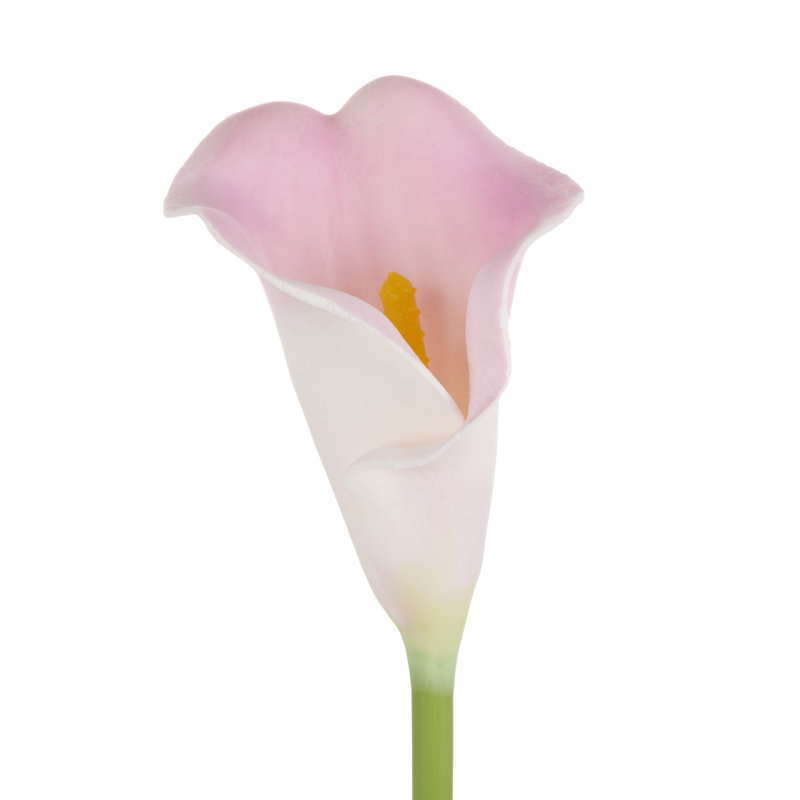 Lys de Calla artificiel 24 pièces avec tiges - Fleurs artificielles pour décoration intérieure, Rose corail