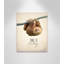 Art sur toile Take It Easy-47478874