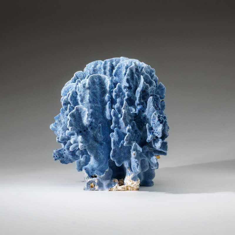 Genuine Blue Ridge Coral (11", 6 Lbs)