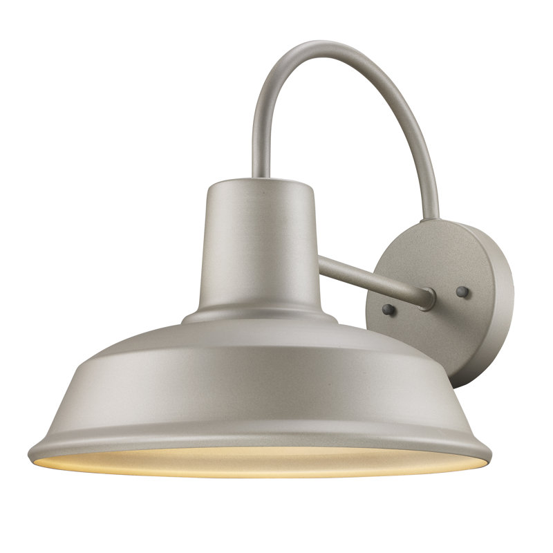 Luminaire de grange d'extérieur 1 ampoule H 12,5 po Evenezer, argent