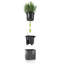 Cube Pot Planter-36478382-36478383