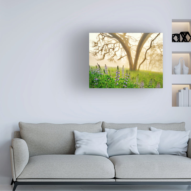 Art mural sur toile tendue - "Lupins sous la pluie et brouillard" de Dennis Frates pour décoration de salon, de chambre à coucher ou de bureau - 24 x 32