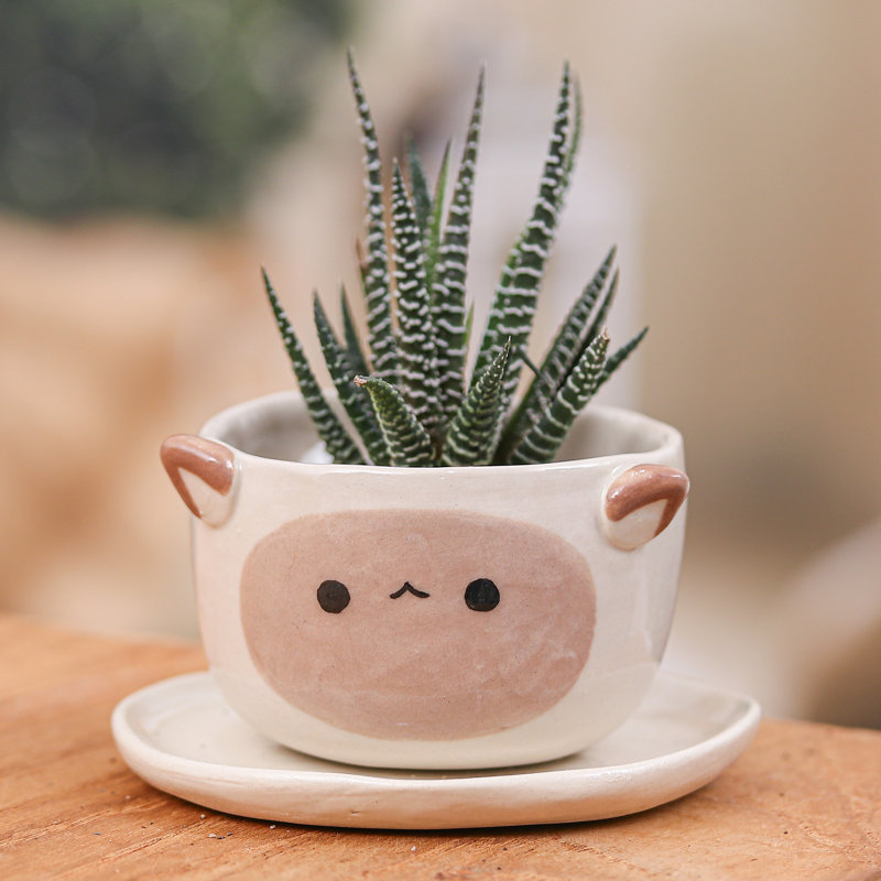 Petit pot de fleurs Zoomie Kids