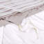Gracie Mills Marissa Casual Farmhouse 5-Piece Clipped Jacquard Comforter Set With Throw Pillows-98972538-114544212