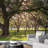 Oak Tree Branch With Farm Fence In The Rural Countryside-88769662