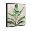 Jolies plantes II - Impression sur toile-77338767-77338768