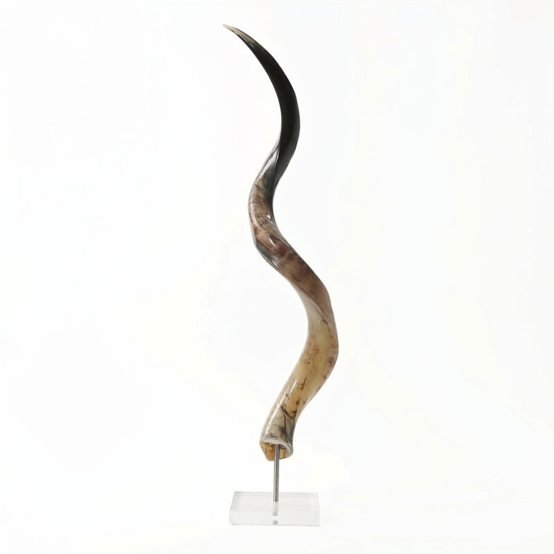 Polished Kudu Horn on Lucite Stand, 32"