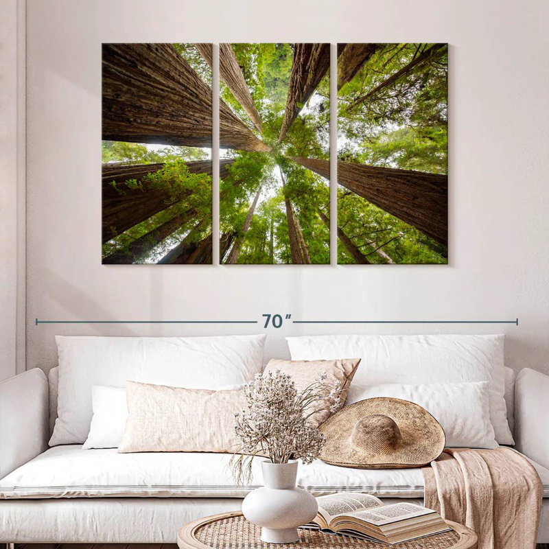Arbres séquoia vertigineux Alvord, H 14 po x l 23 po
