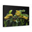 «Viper Couple», art mural mural-585209872